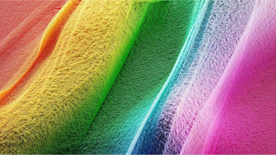 bunt-169